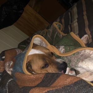 Meet your Posher, Super